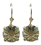 Golden Labradorite Super Nova™ Regular Dangle Earrings